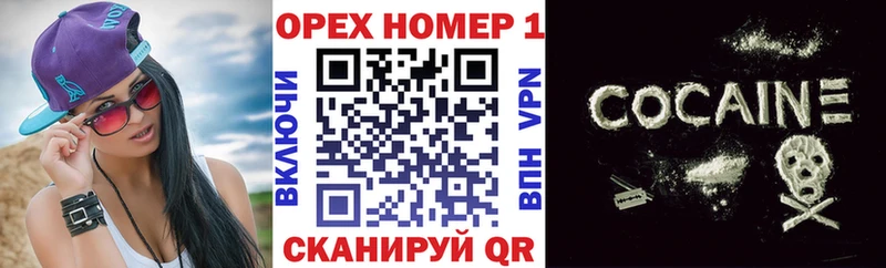 darknet как зайти  Новозыбков  COCAIN 97% 