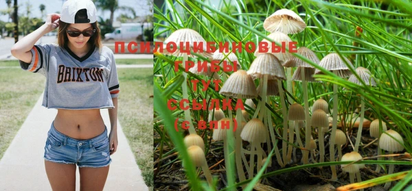спайс Нея