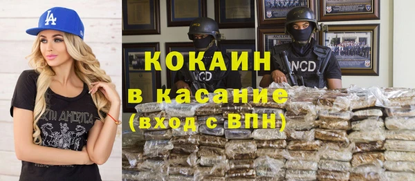 крисы Надым
