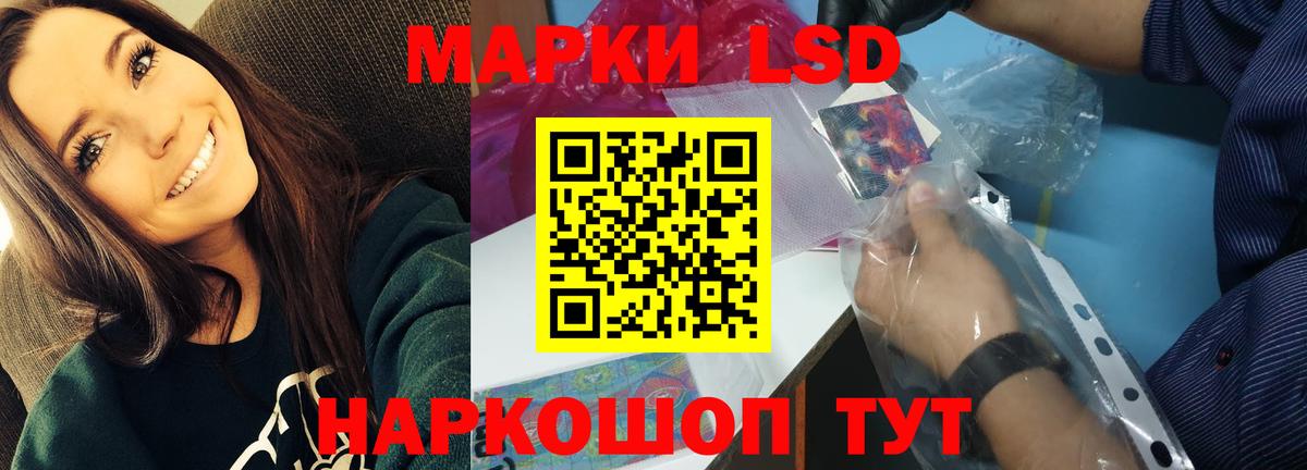 Новозыбков  Лсд 25 экстази ecstasy  Вход с VPN  ЛСД экстази ecstasy 