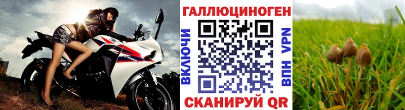 Псилоцибиновые грибы мицелий  Новозыбков 