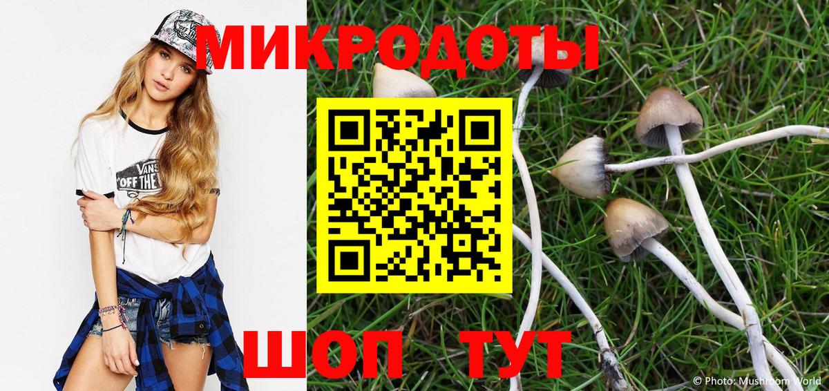 Новозыбков  Псилоцибиновые грибы Cubensis  Вход с VPN 