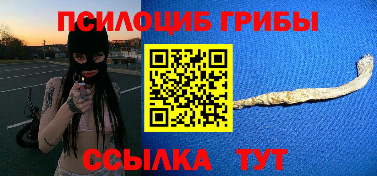 Псилоцибиновые грибы Psilocybine cubensis Новозыбков